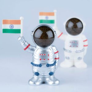 Buy Solar Powered Astronaut with Flag Online from Tinyminymo