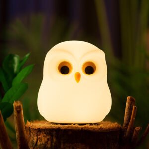 Cute & Unique Owl Lamp Online In India